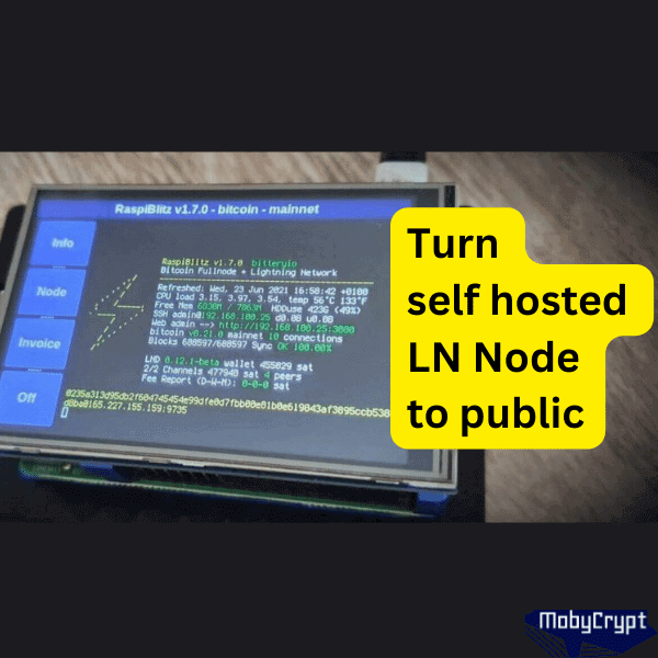 Turn your self hosted Lightning Network node to public in 10 minutes